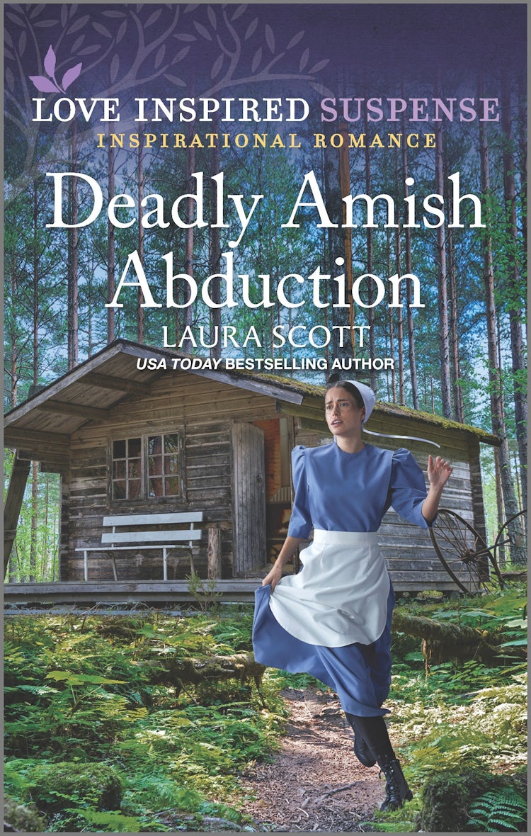 Cover image for Deadly Amish Abduction, isbn: 9781867285243