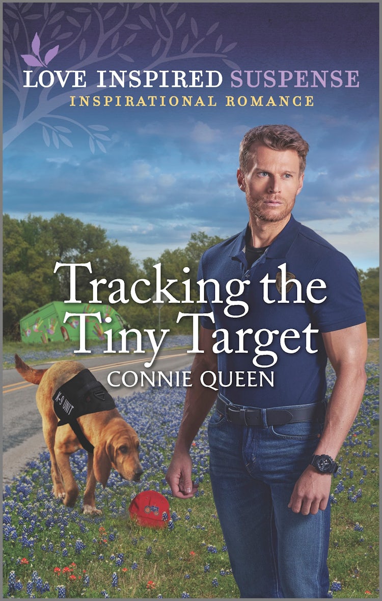 Cover image for Tracking the Tiny Target, isbn: 9781867285267