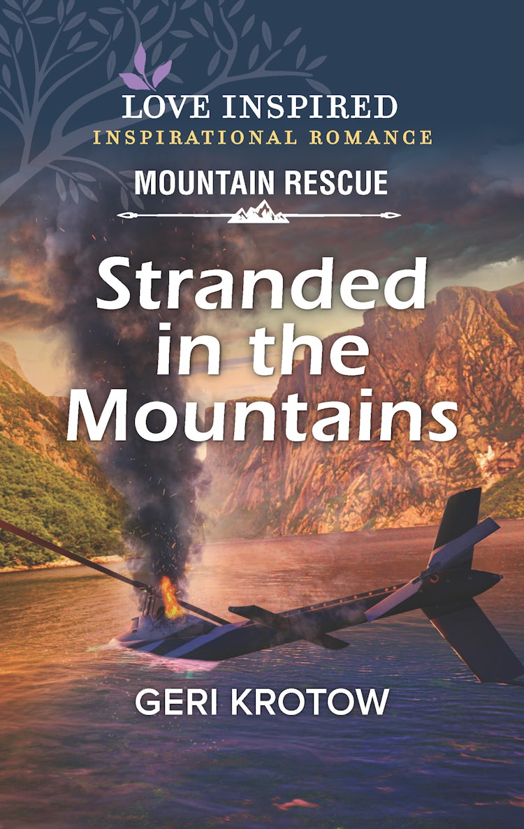 Cover image for Stranded in the Mountains, isbn: 9781867285366