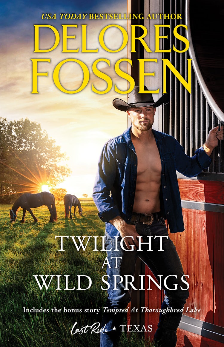 Cover image for Twilight at Wild Springs, isbn: 9781867287209