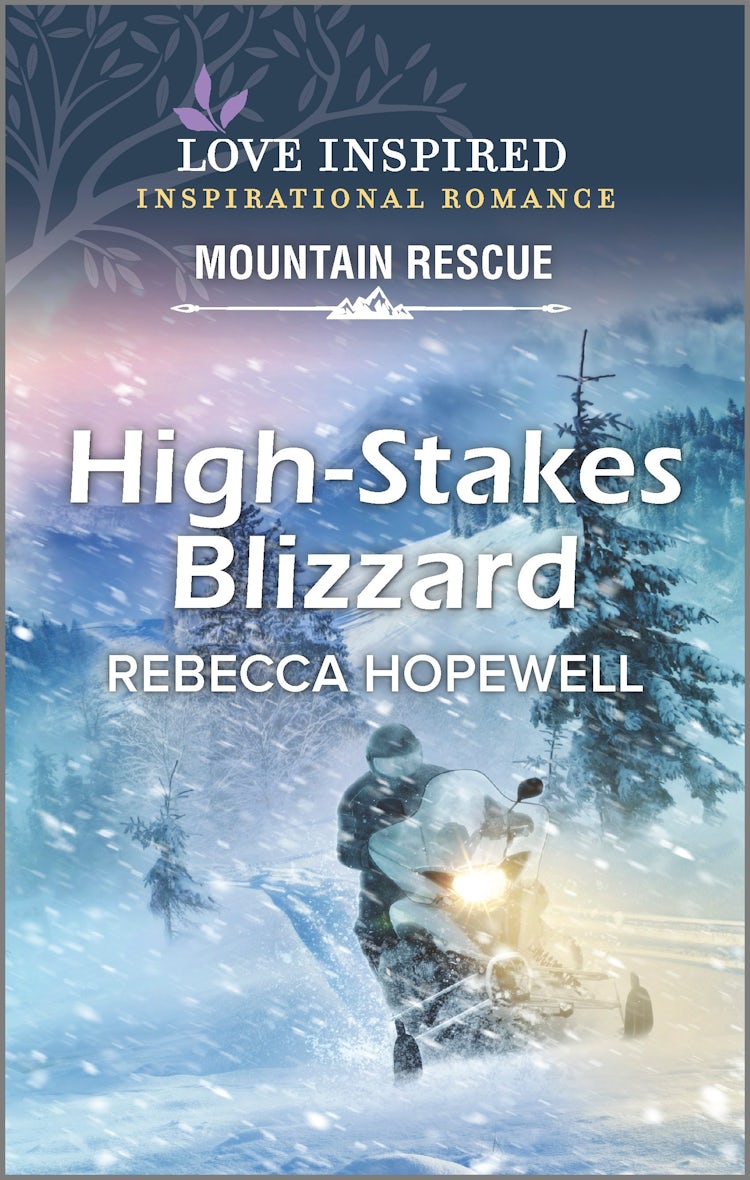Cover image for High-Stakes Blizzard, isbn: 9781867287469