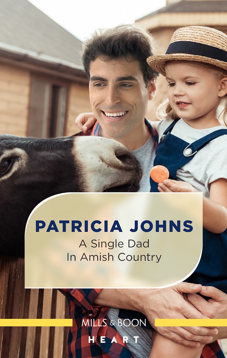Cover image for A Single Dad in Amish Country, isbn: 9781867288152