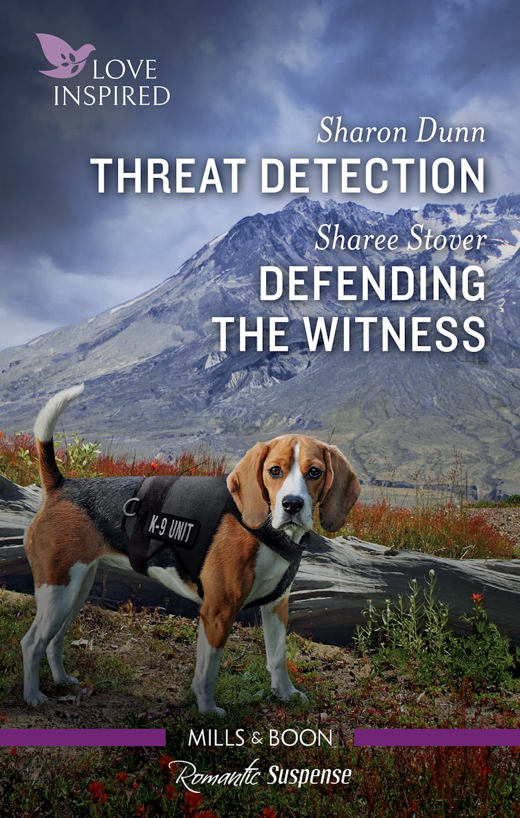 Cover image for Threat Detection/Defending the Witness, isbn: 9781867288350