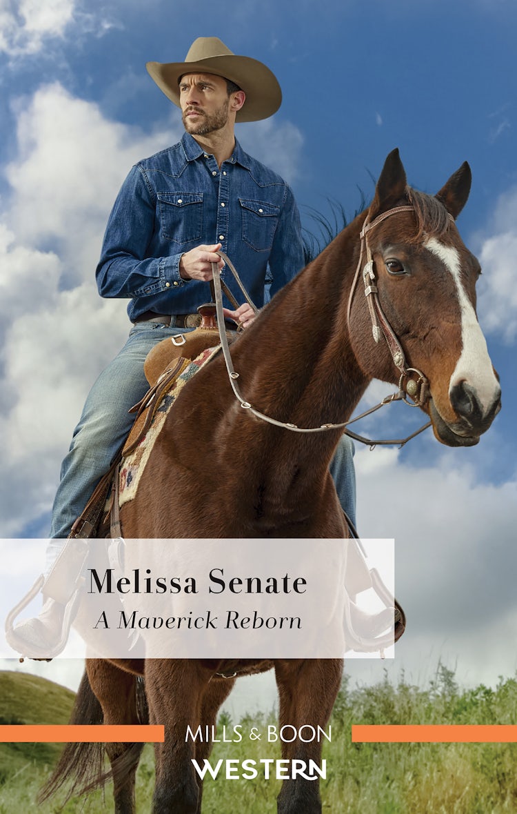 Cover image for A Maverick Reborn, isbn: 9781867288466
