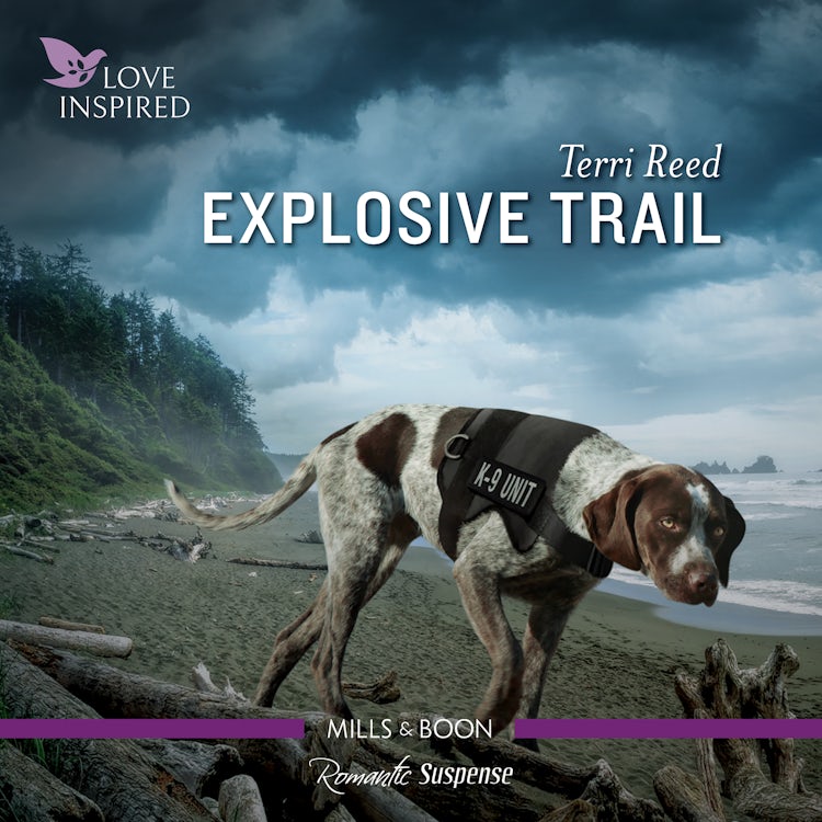 Cover image for Explosive Trail, isbn: 9781867289524