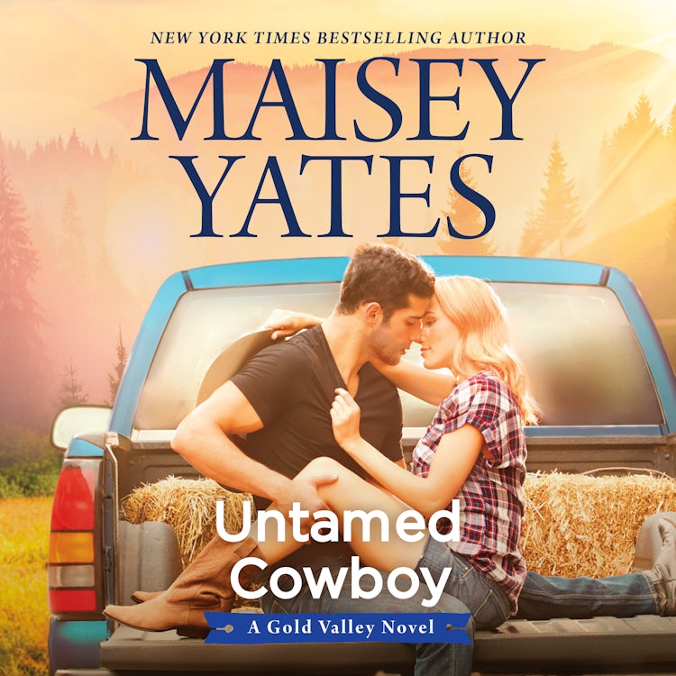 Cover image for Untamed Cowboy/Mail Order Cowboy, isbn: 9781867289630