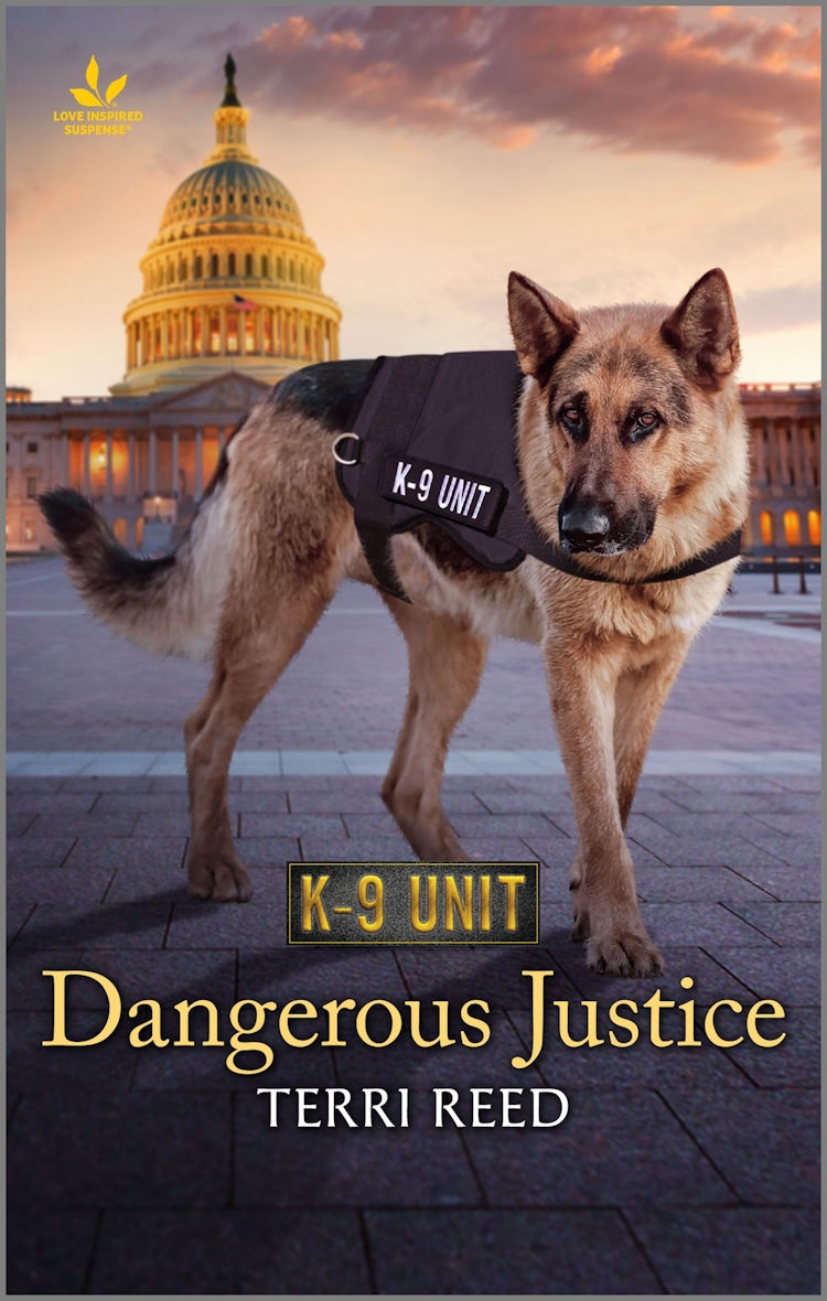 Cover image for Dangerous Justice (novella), isbn: 9781867289678