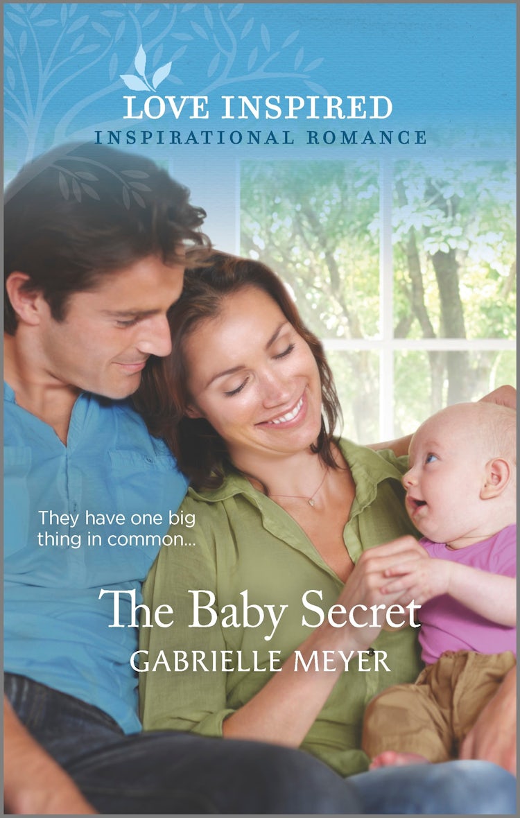 Cover image for The Baby Secret, isbn: 9781867290209