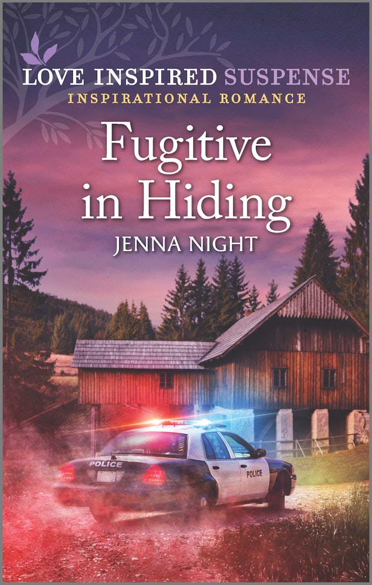 Cover image for Fugitive in Hiding, isbn: 9781867290315
