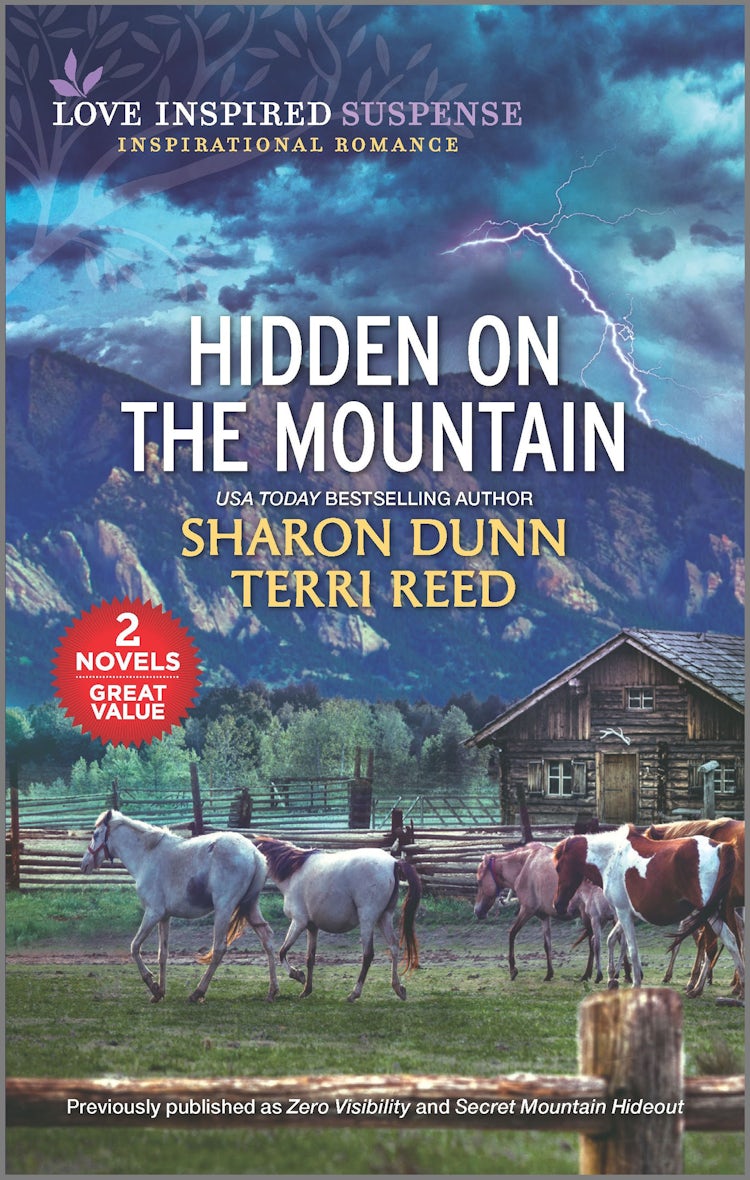 Cover image for Hidden On The Mountain/Zero Visibility/Secret Mountain Hideout, isbn: 9781867290391