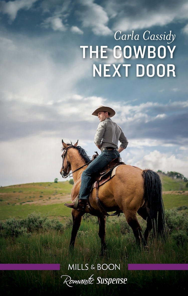 Cover image for The Cowboy Next Door, isbn: 9781867293231