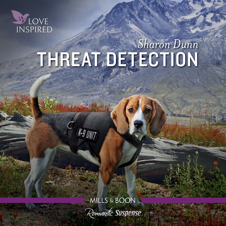 Cover image for Threat Detection, isbn: 9781867293804