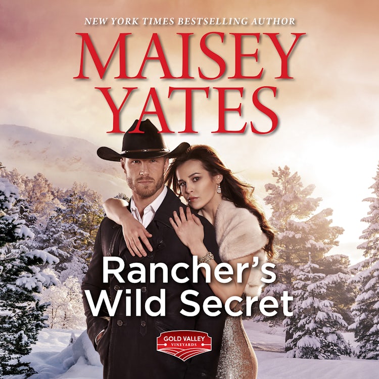 Cover image for Rancher's Wild Secret, isbn: 9781867293897