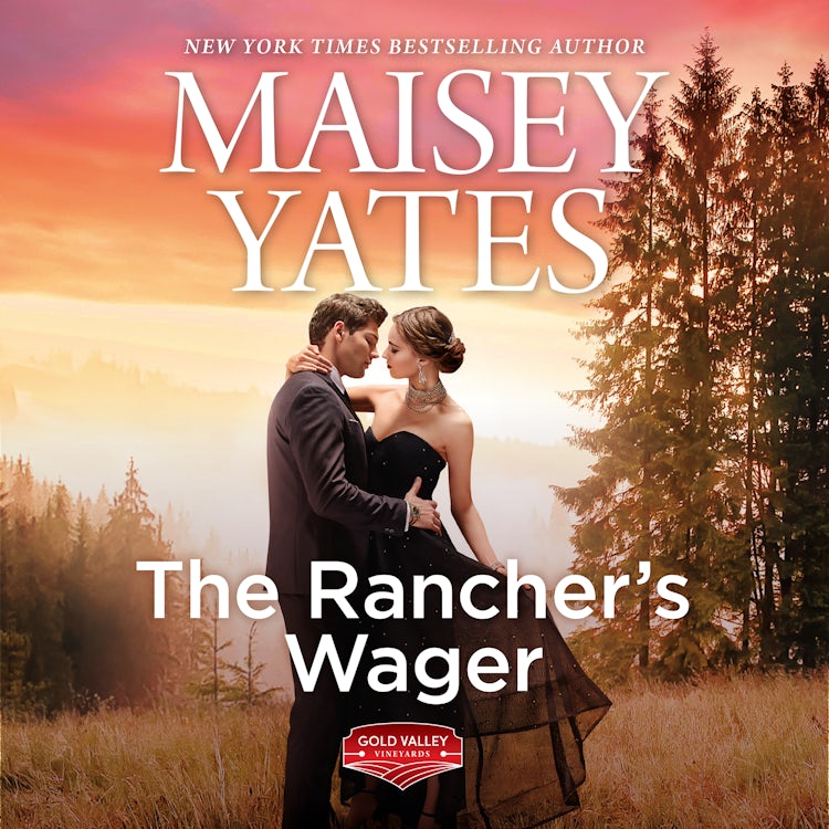 Cover image for The Rancher's Wager, isbn: 9781867293903