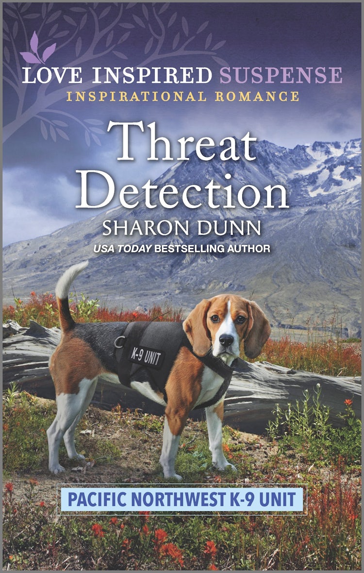 Cover image for Threat Detection, isbn: 9781867294221