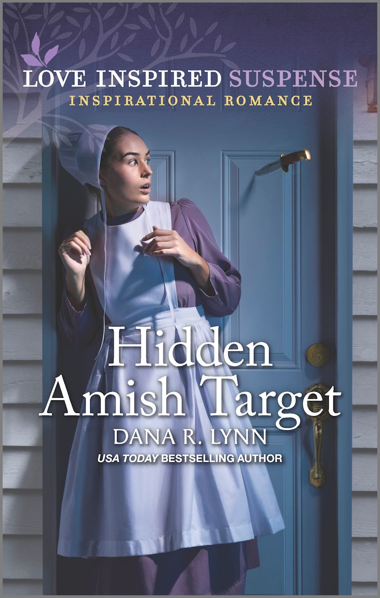 Cover image for Hidden Amish Target, isbn: 9781867294238