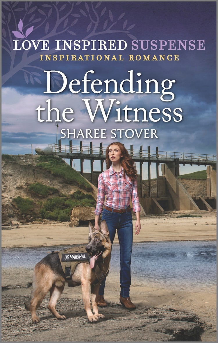Cover image for Defending the Witness, isbn: 9781867294252