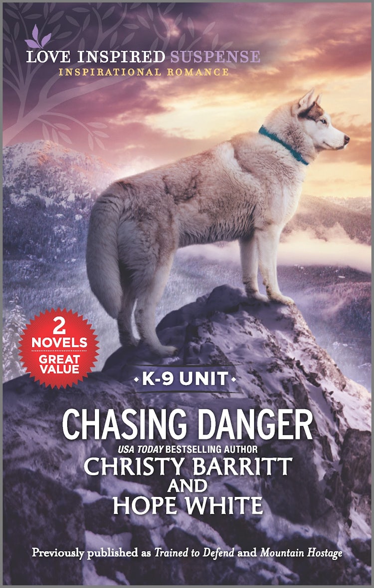 Cover image for Chasing Danger/Trained to Defend/Mountain Hostage, isbn: 9781867294320