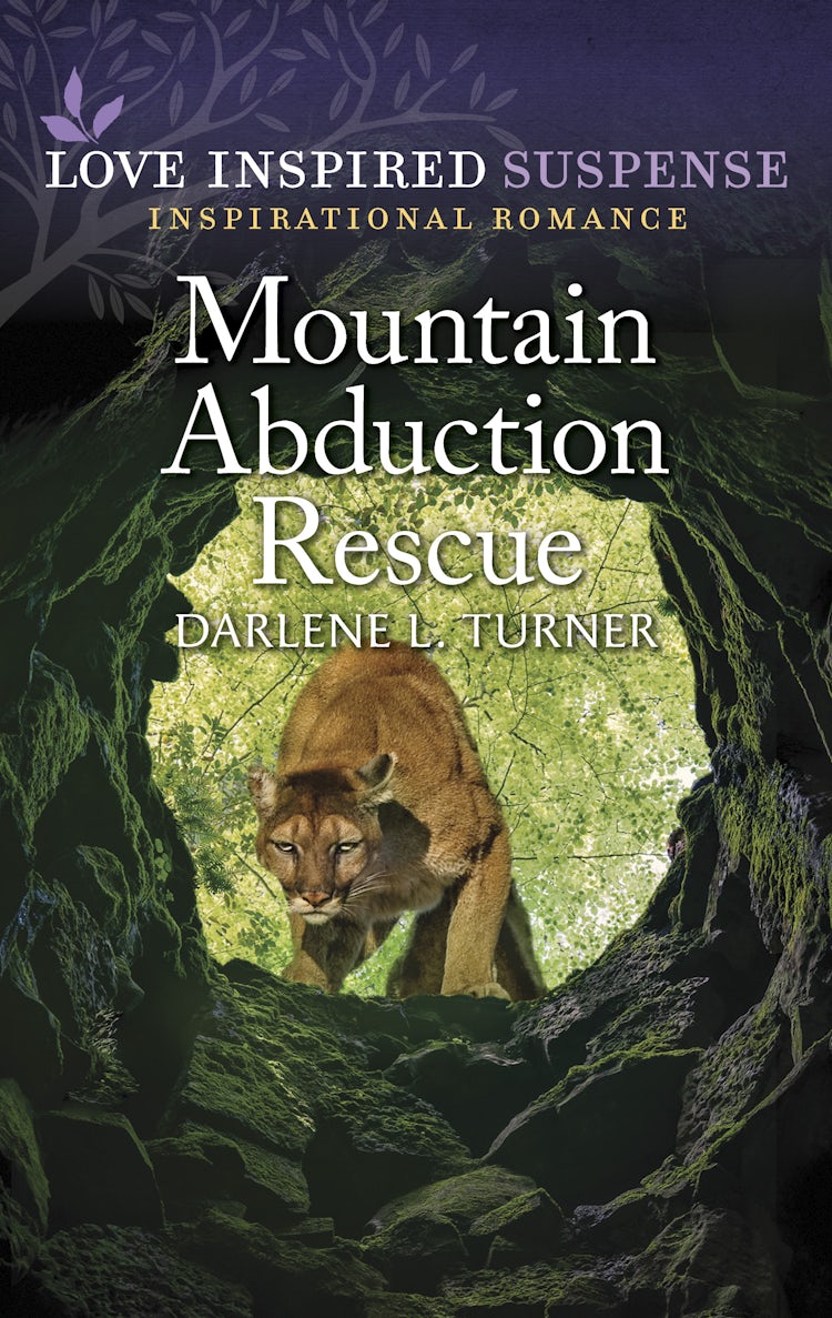 Cover image for Mountain Abduction Rescue, isbn: 9781867294726