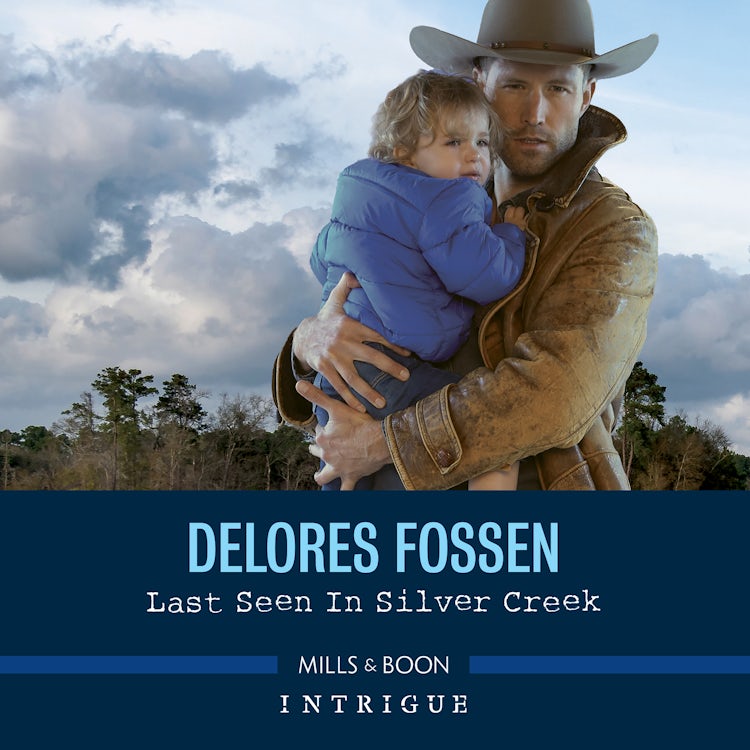 Cover image for Last Seen in Silver Creek, isbn: 9781867295051