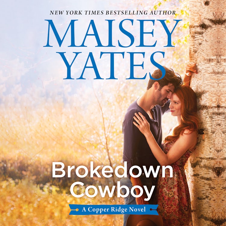 Cover image for Brokedown Cowboy, isbn: 9781867295068
