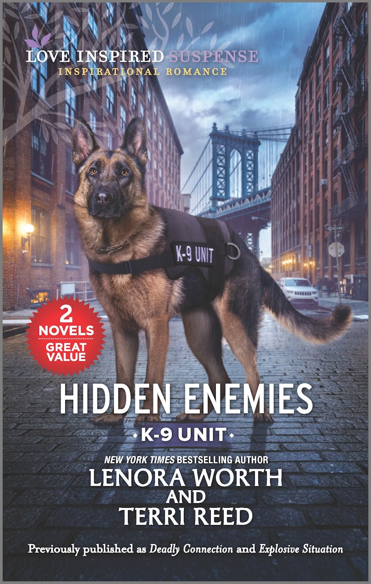 Cover image for Hidden Enemies/Deadly Connection/Explosive Situation, isbn: 9781867295600