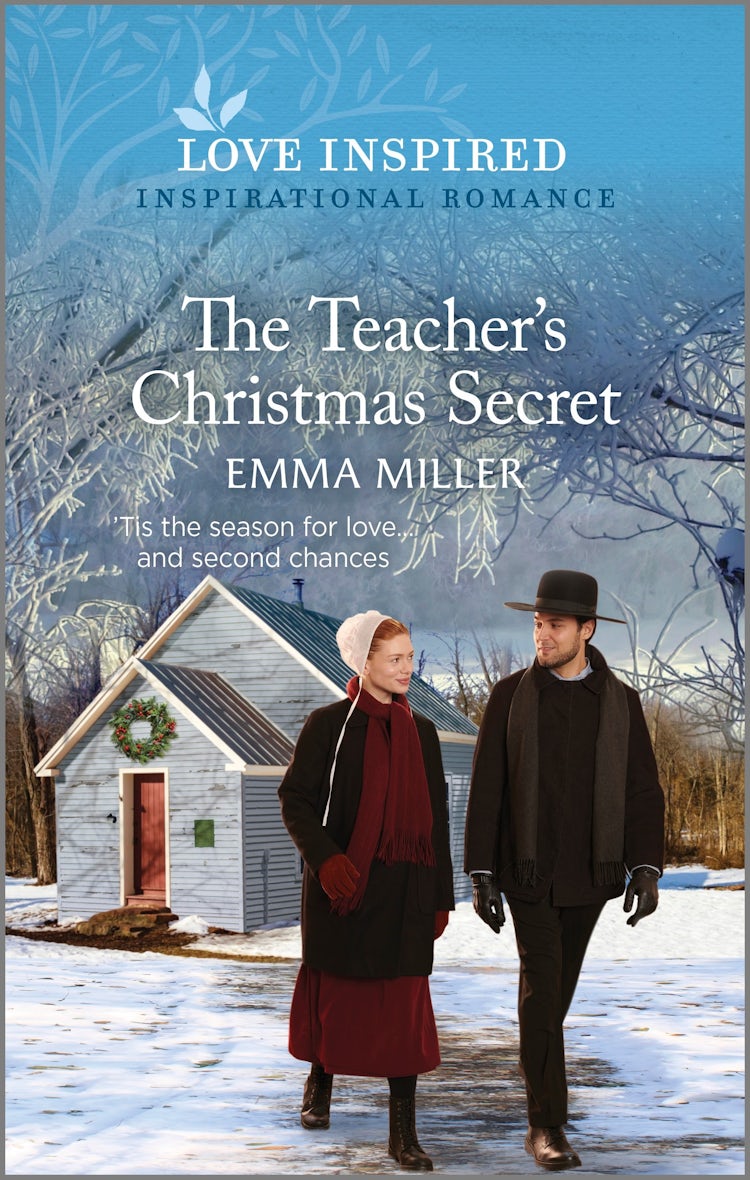 Cover image for The Teacher's Christmas Secret, isbn: 9781867296256