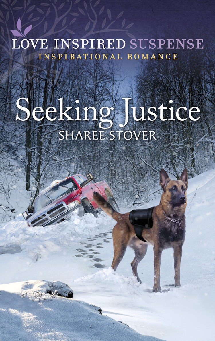 Cover image for Seeking Justice, isbn: 9781867296362