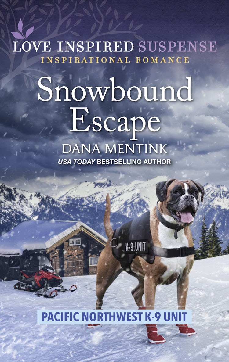 Cover image for Snowbound Escape, isbn: 9781867296515