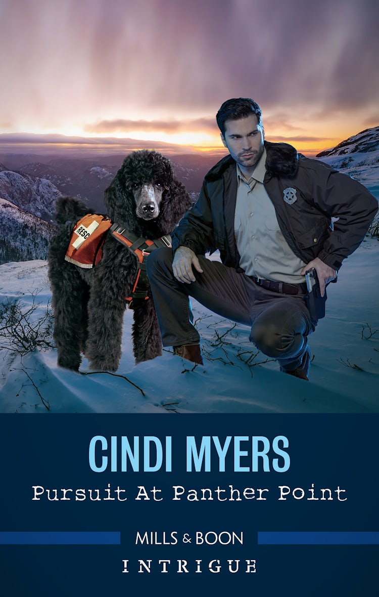 Cover image for Pursuit at Panther Point, isbn: 9781867296843