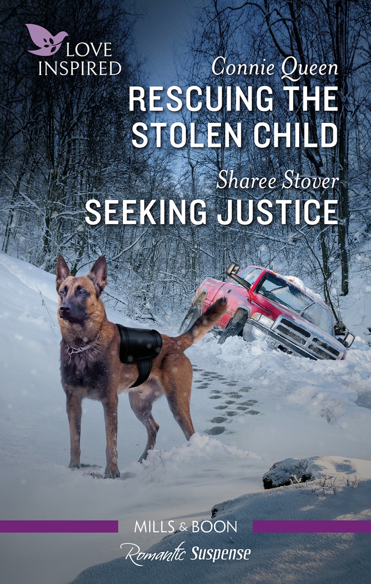 Cover image for Rescuing the Stolen Child/Seeking Justice, isbn: 9781867296997