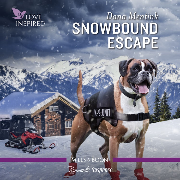 Cover image for Snowbound Escape, isbn: 9781867298649