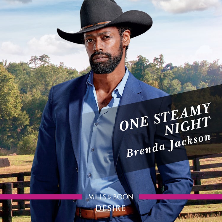 Cover image for One Steamy Night, isbn: 9781867298656