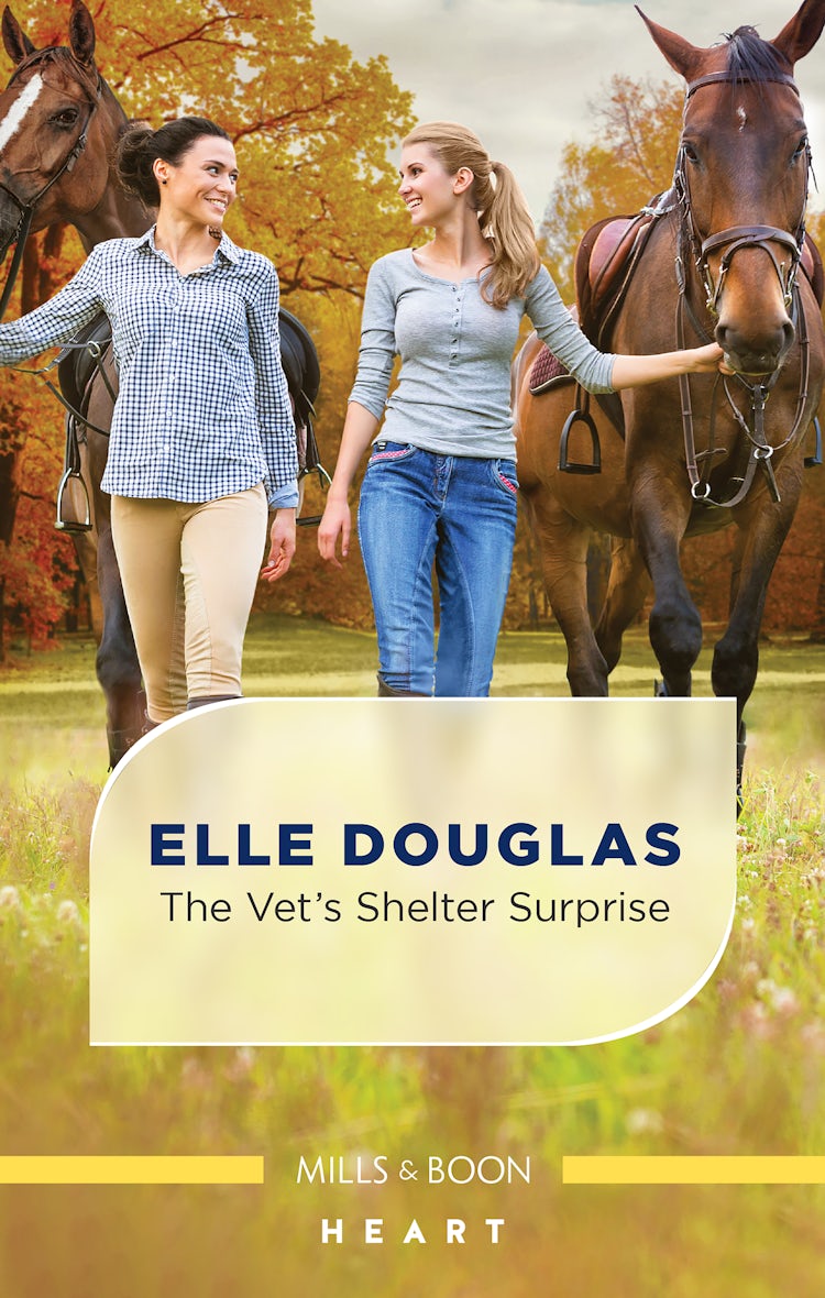 Cover image for The Vet's Shelter Surprise, isbn: 9781867299011