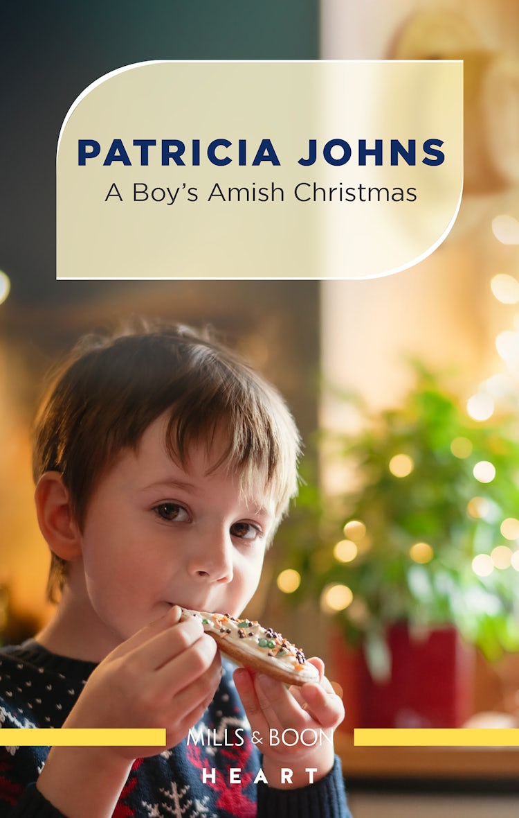 Cover image for A Boy's Amish Christmas, isbn: 9781867299028