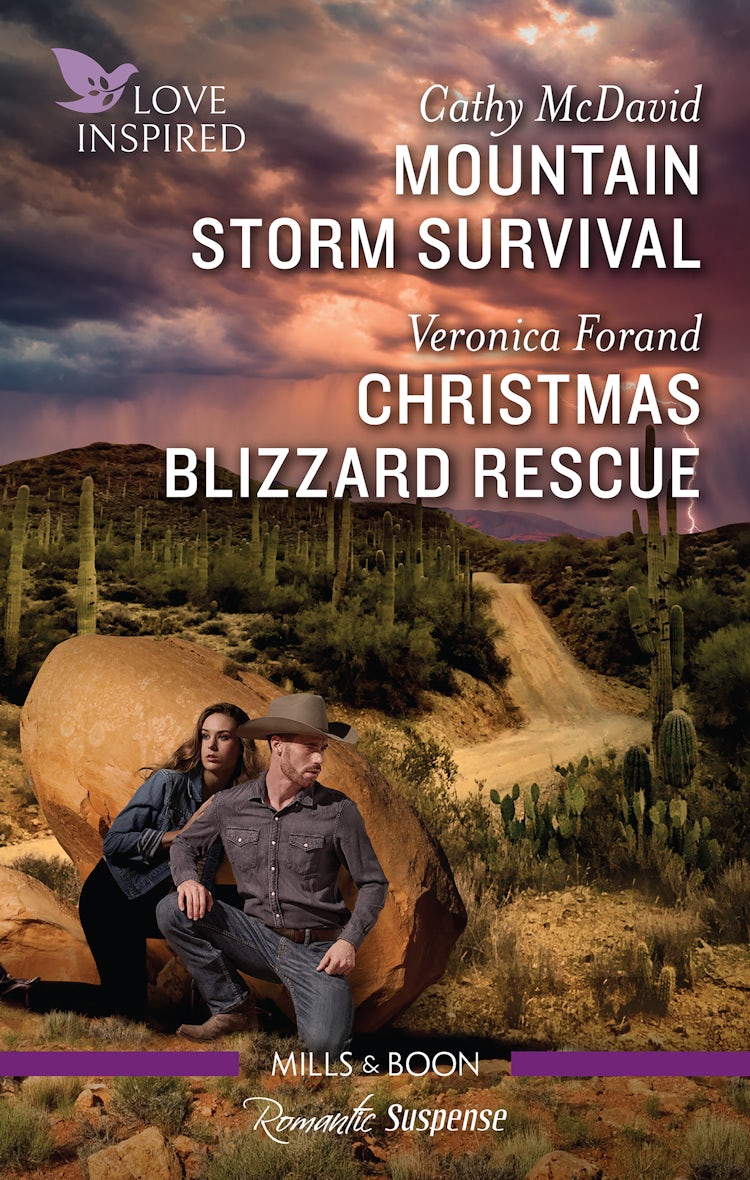 Cover image for Mountain Storm Survival/Christmas Blizzard Rescue, isbn: 9781867299127