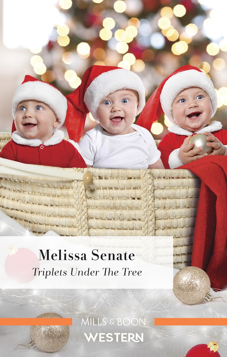 Cover image for Triplets Under The Tree, isbn: 9781867299158