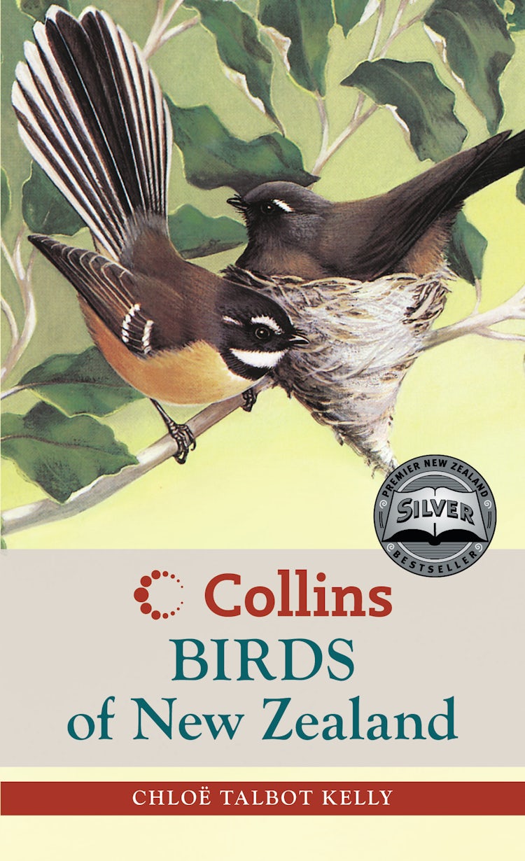 Cover image for Collins Birds of New Zealand, isbn: 9781869500634