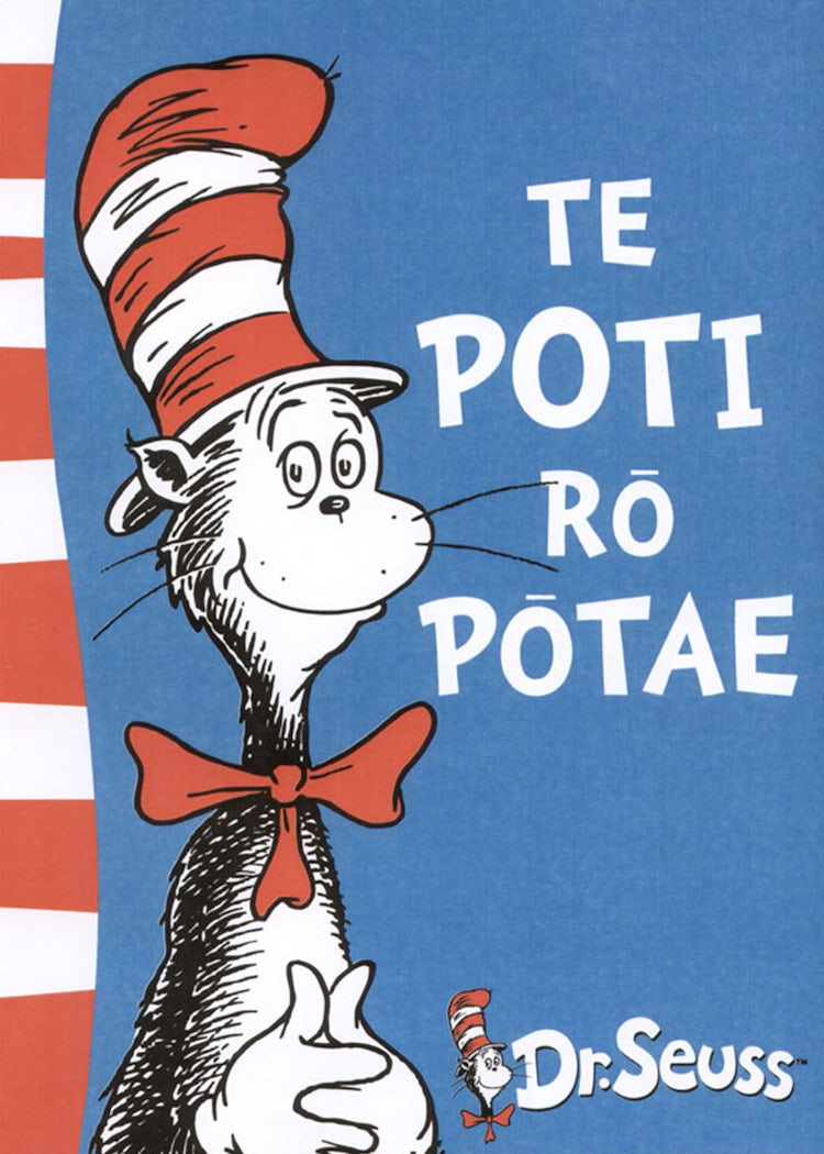 Cover image for Te Poti ro Potae, isbn: 9781869505257