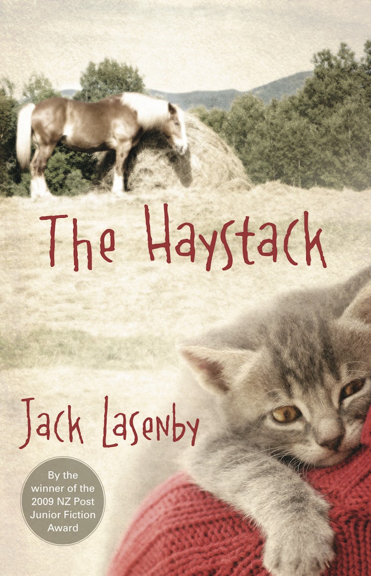 Cover image for The Haystack, isbn: 9781869508524