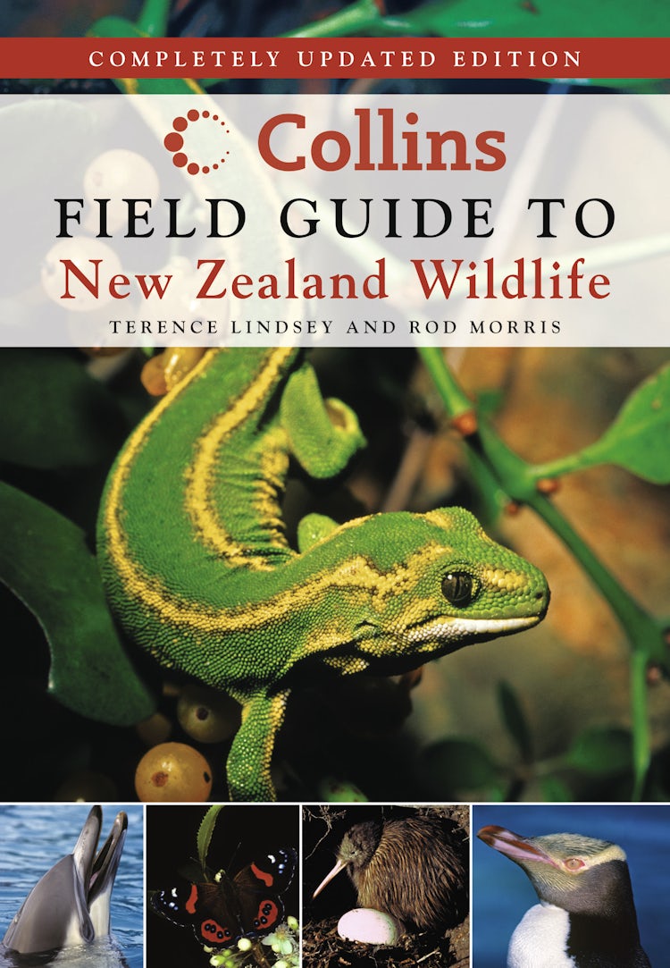 Cover image for Collins Field Guide to New Zealand Wildlife, isbn: 9781869508814