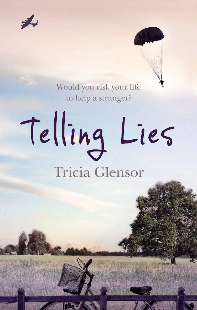 Cover image for Telling Lies, isbn: 9781869509347