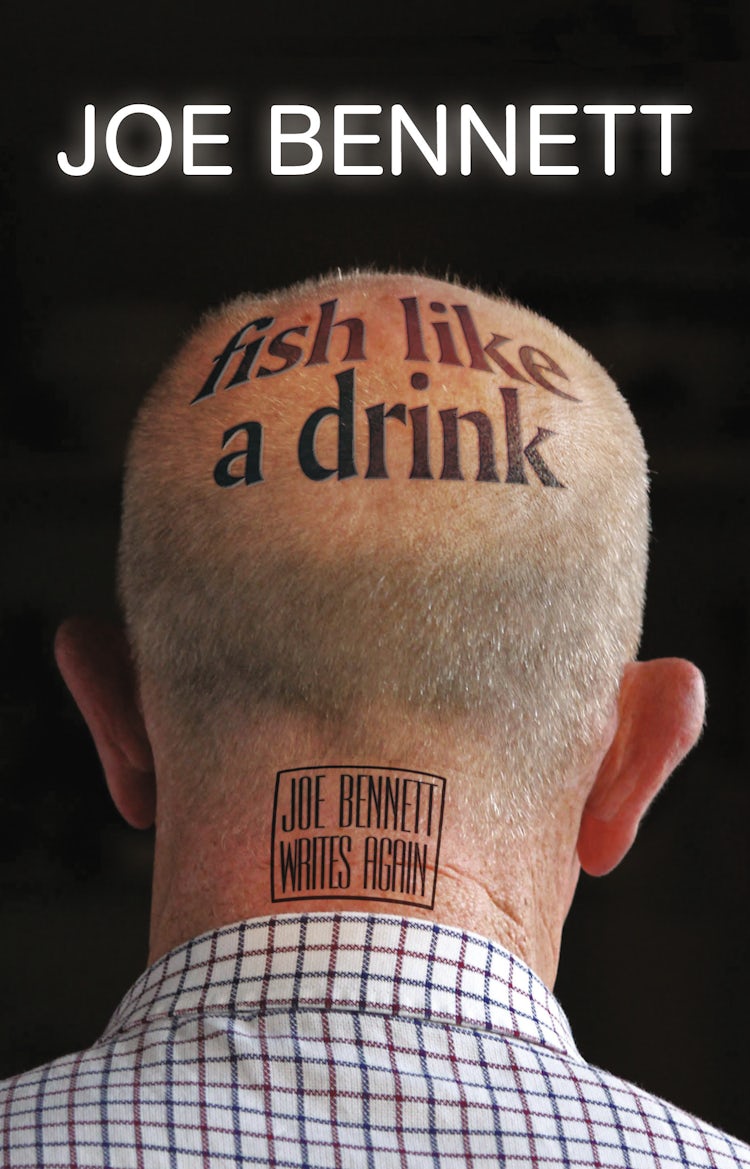 Cover image for Fish Like A Drink, isbn: 9781869509583