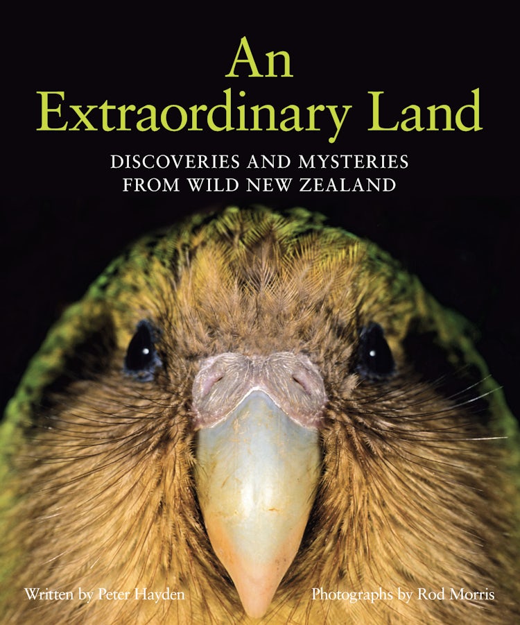 Cover image for An Extraordinary Land, isbn: 9781869509637