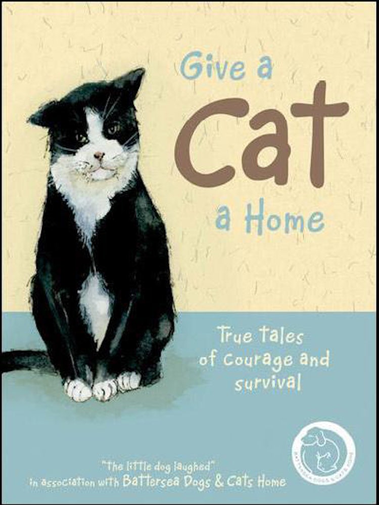 Cover image for Give a Cat a Home: True Tales of Courage and Survival, isbn: 9781906388201
