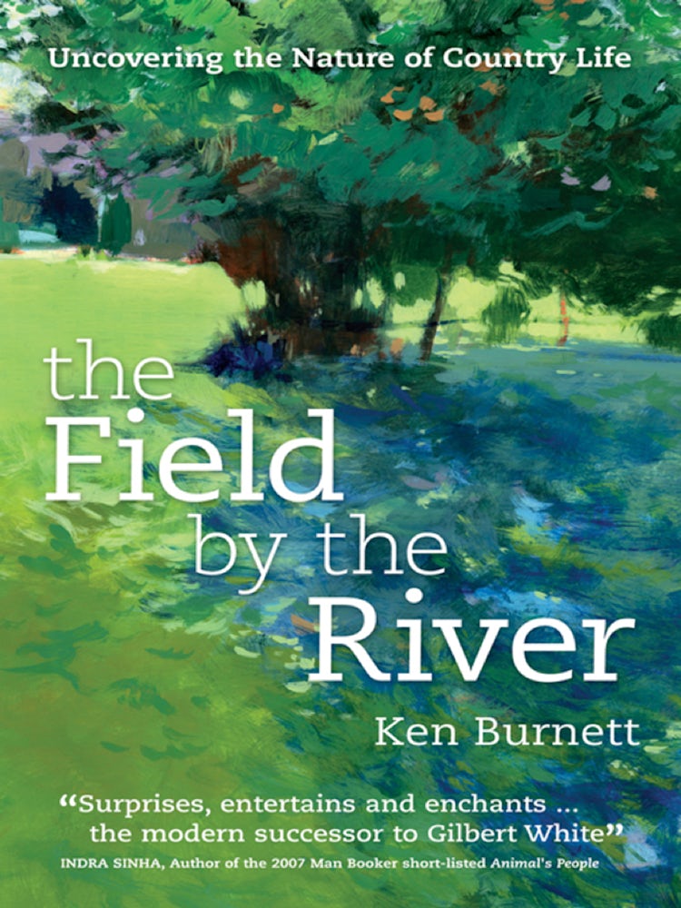 Cover image for The Field by the River, isbn: 9781909396128