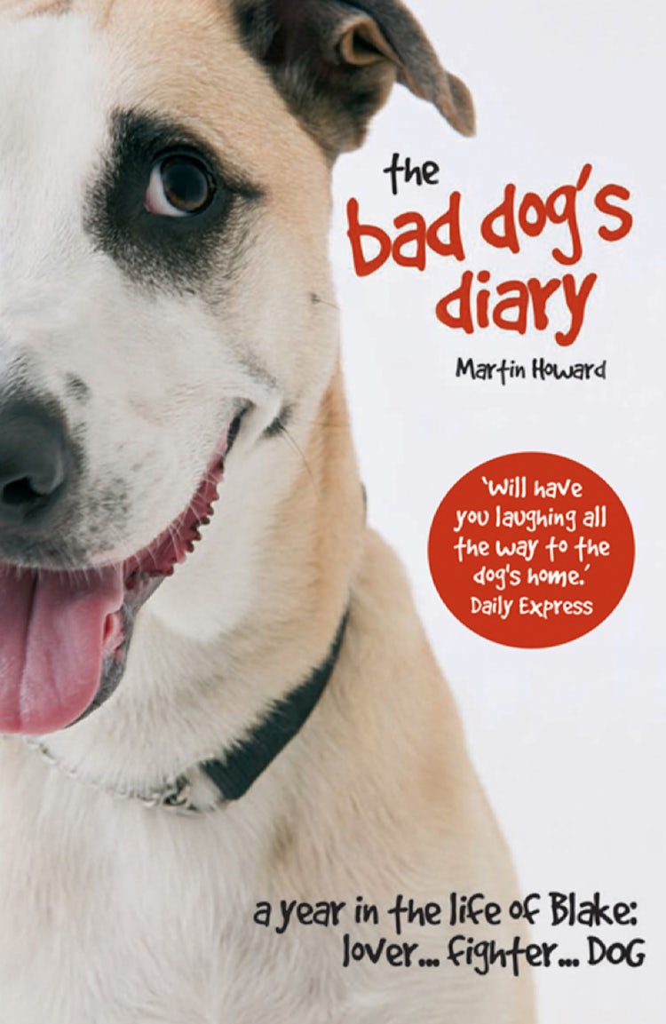 Cover image for The Bad Dog's Diary, isbn: 9781909396678