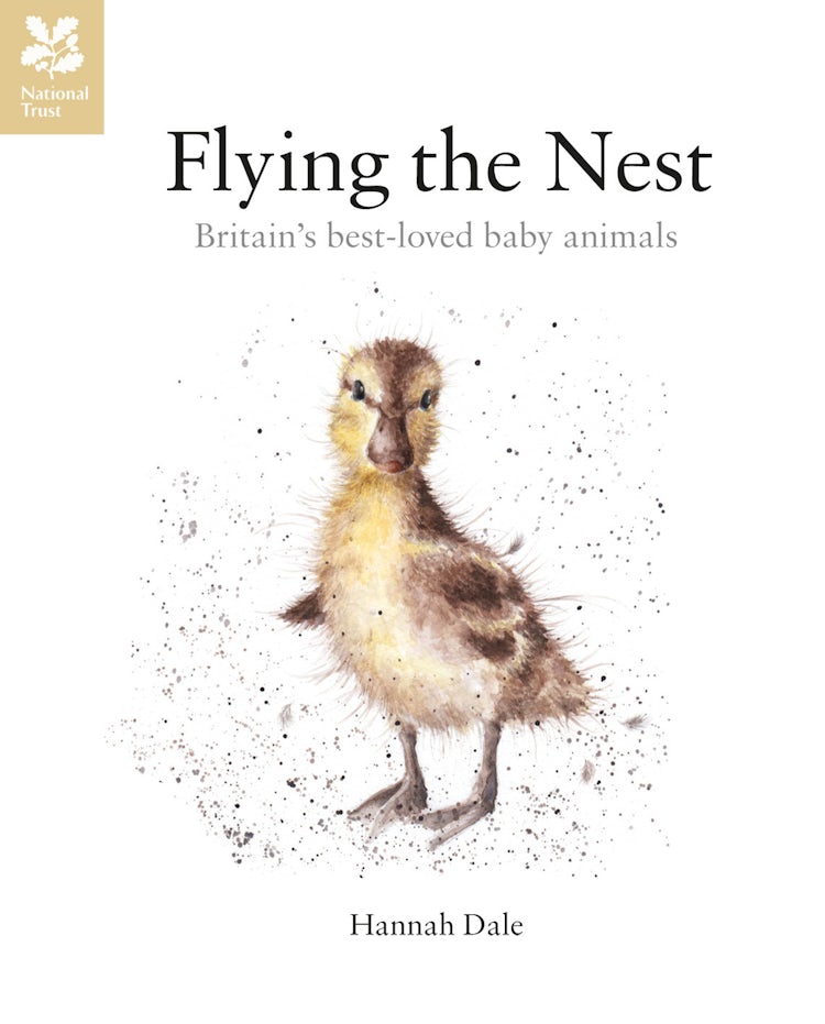 Cover image for Flying the Nest: Britain's Best-Loved Baby Animals, isbn: 9781909881556