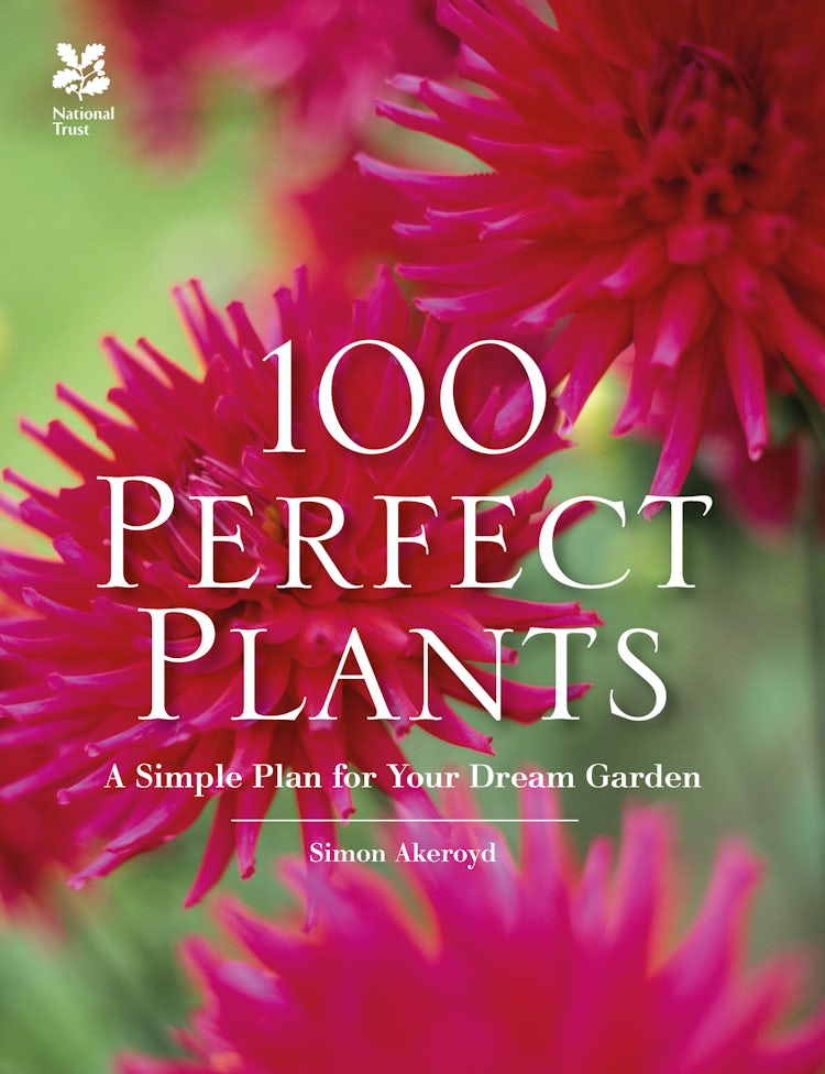 Cover image for 100 Perfect Plants: A Simple Plan for Your Dream Garden, isbn: 9781909881952
