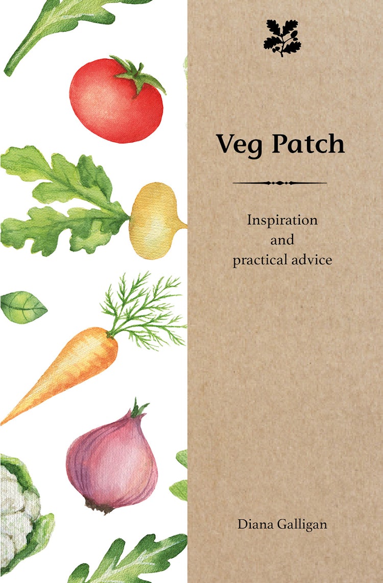 Cover image for Veg Patch: Inspiration and Practical Advice, isbn: 9781909881976